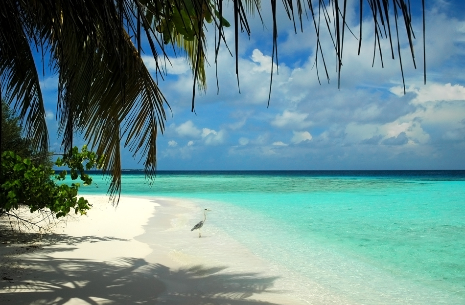 Makunudu Island, North Malé Atoll, Maldives.