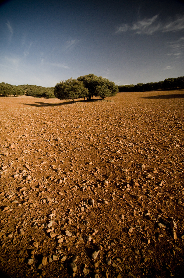 Ifren, Maroc