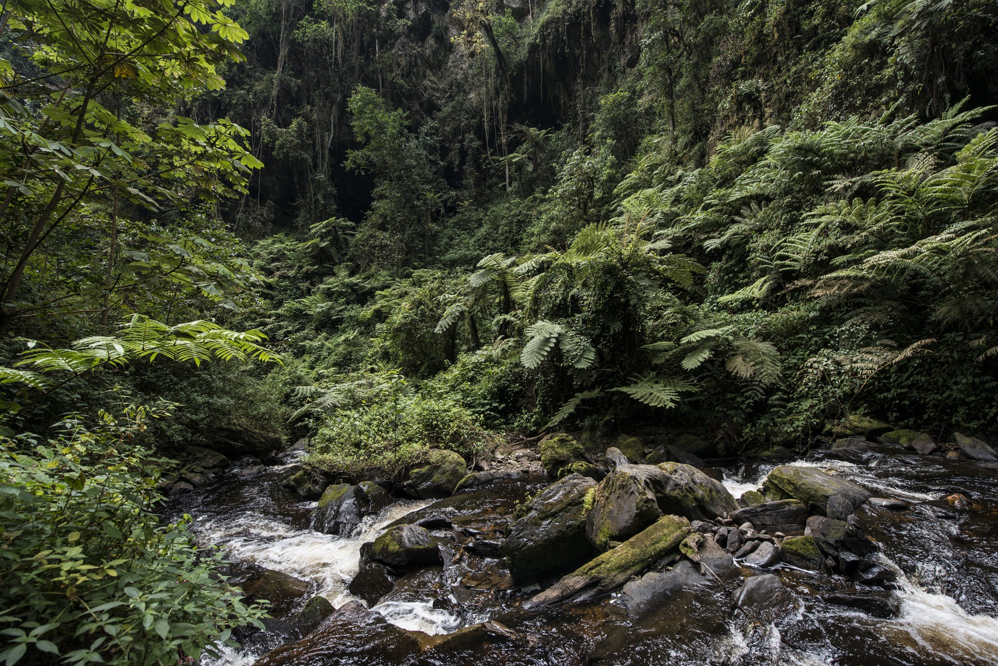 Nyungwe - Cascade de Kamiran