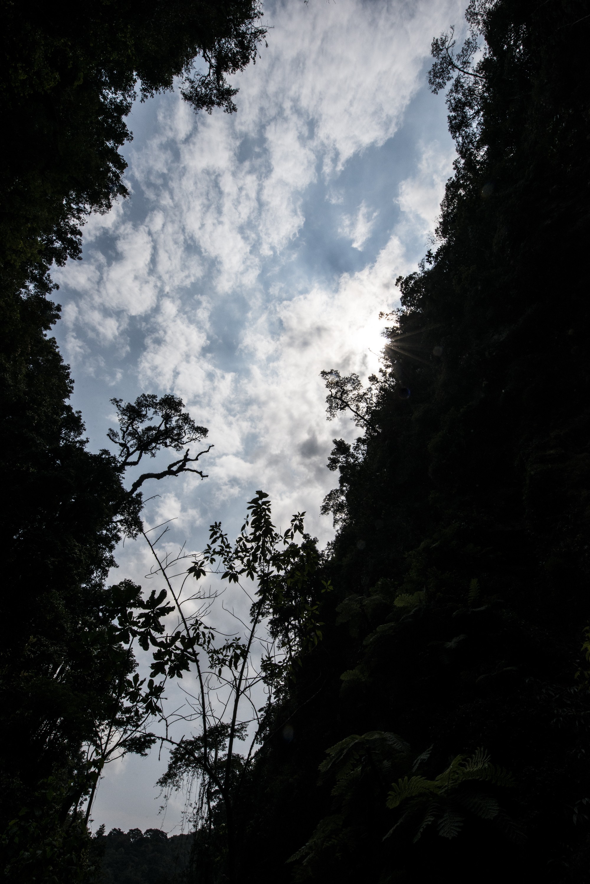 Nyungwe - Cascade de Kamiran