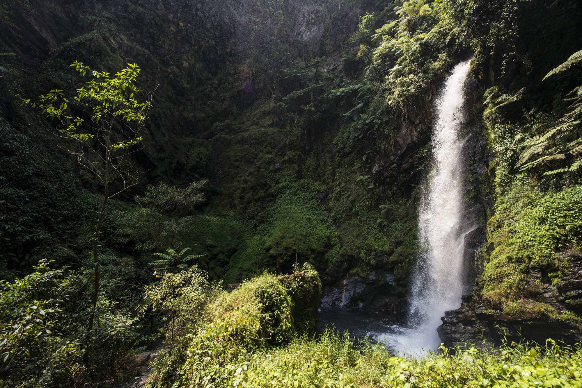 Nyungwe - Cascade de Kamiran