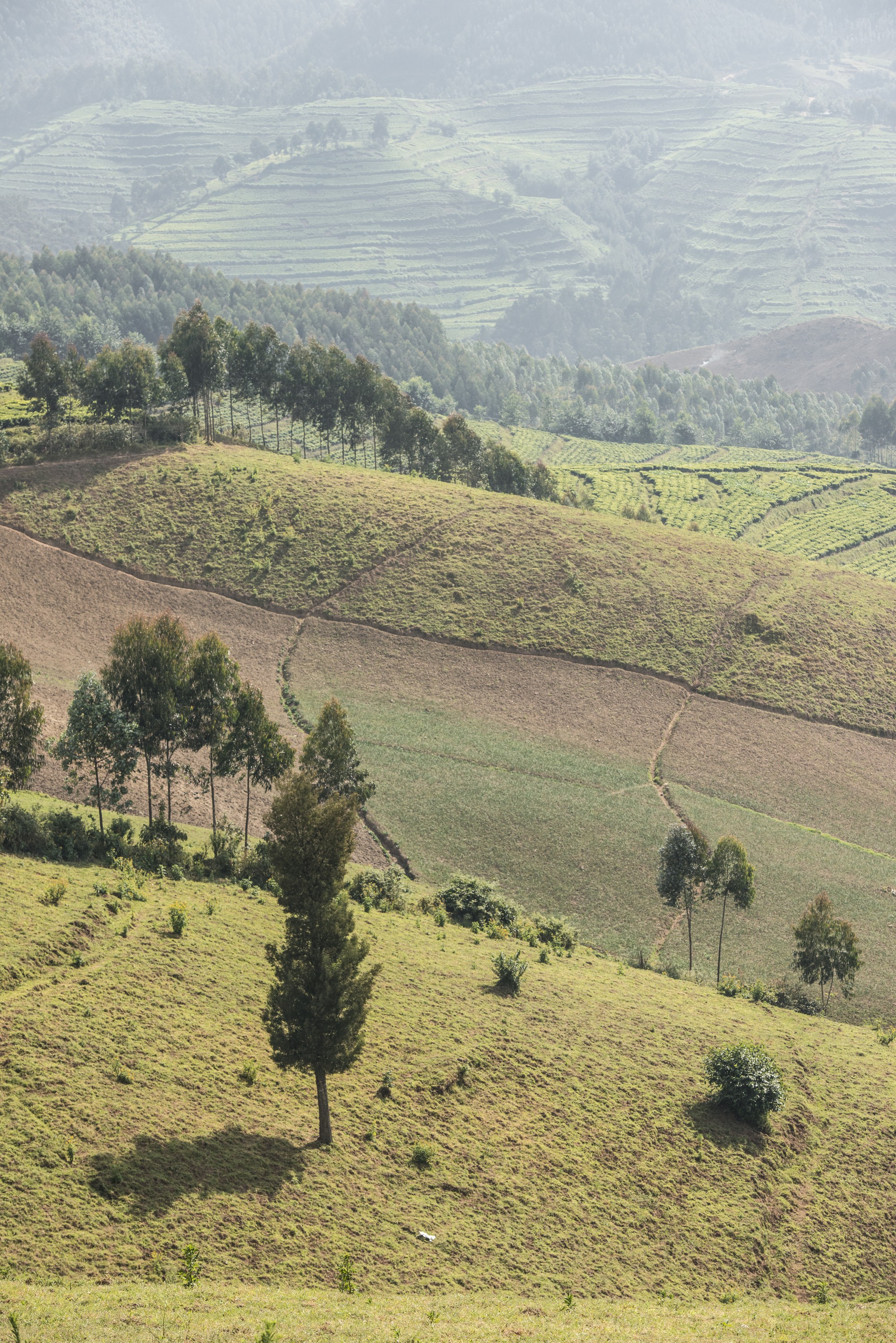 Route Karongi (Ex Kibuye) - Gysenyi