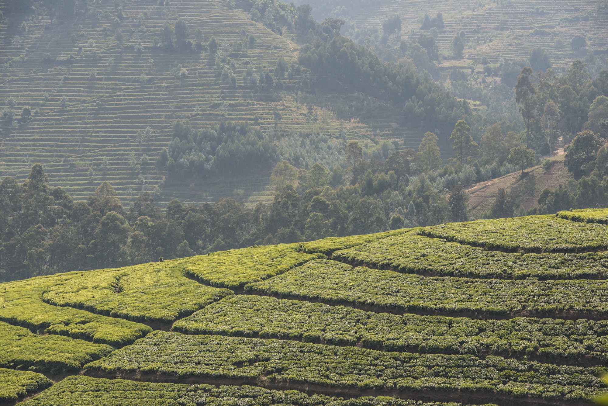 Route Karongi (Ex Kibuye) - Gysenyi