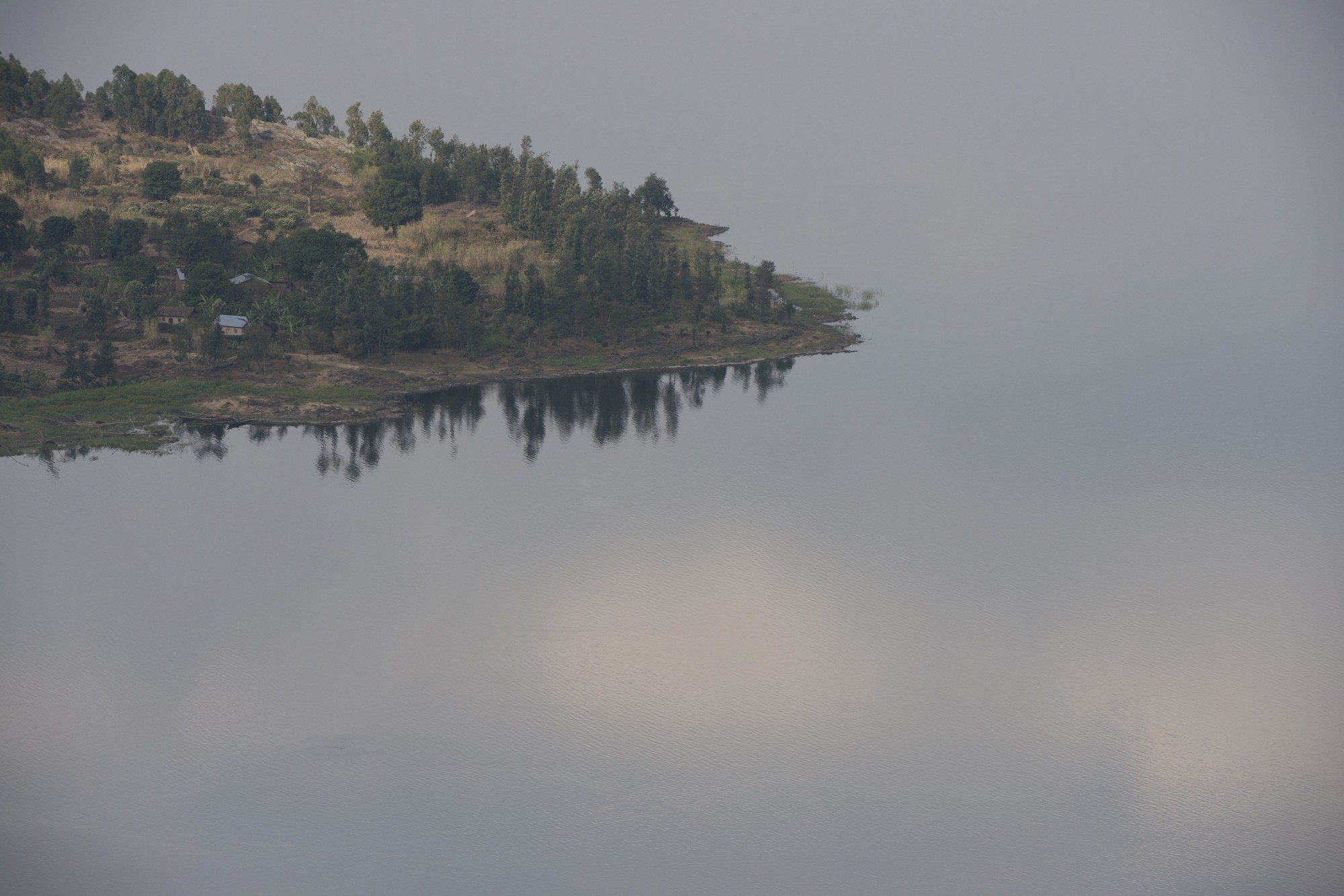 Parc National des Volcans