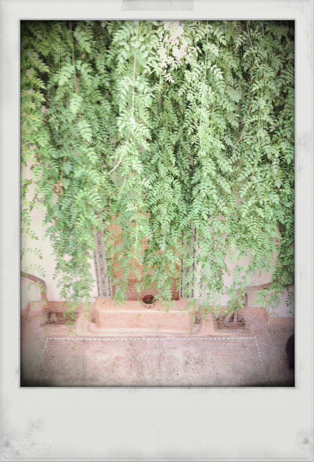 Interieur Riad, Marrakech, Maroc