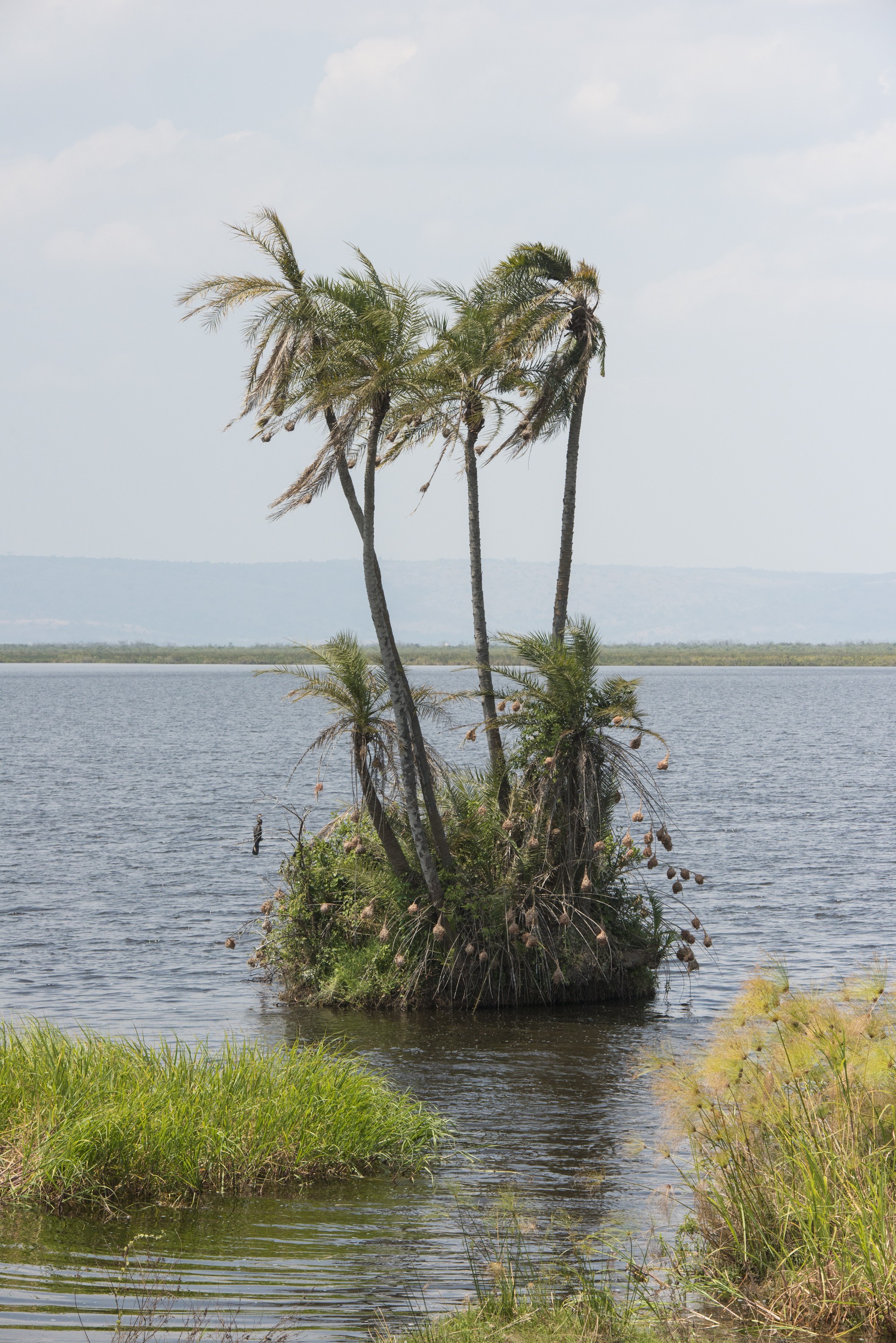 Akagera