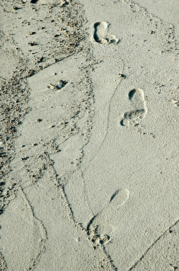 Makunudu Island, North Malé Atoll, Maldives.