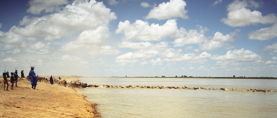Delta du Niger, Mopti region, Mali