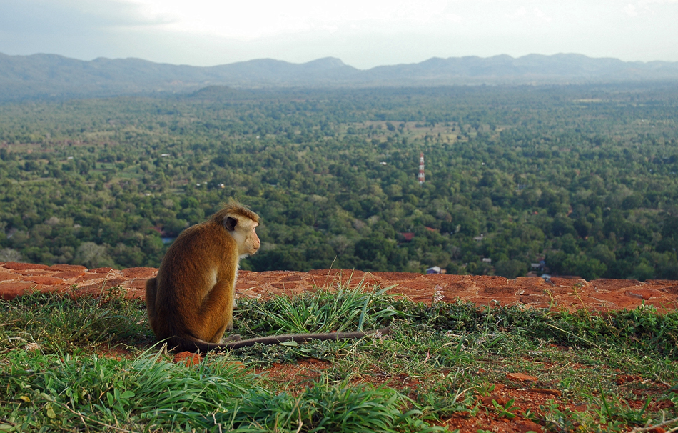 Sigiriya Rock, Sri Lanka 